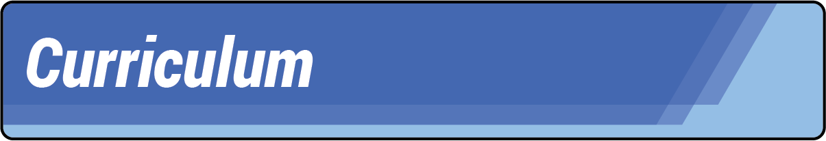 Curriculum